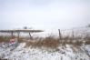 11.528 Acres on Earnest Road Knox County Home Listings - Mount Vernon Ohio Homes 