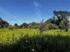 1.5 Acres McManis Road Knox County Home Listings - Mount Vernon Ohio Homes 
