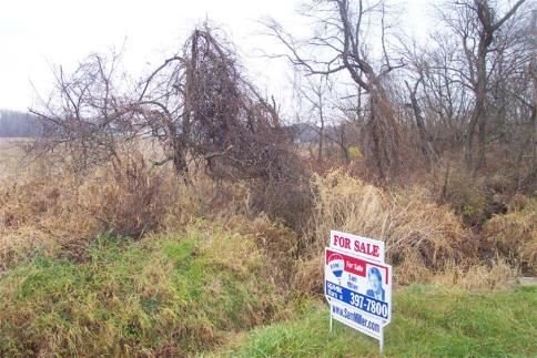 17.538 Acres Mansfield Road Mount Vernon Ohio 43050