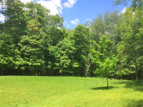 2.911 Acres Gambier Road Mount Vernon Ohio 43050