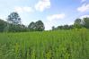 5.26 Acres on McVay Road Knox County Sold Listings - Mount Vernon Ohio Homes 