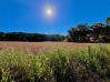 6.3 Acres Keck Road Knox County Home Listings - Mount Vernon Ohio Homes 