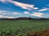 75.986 Acres Twp Road 114 Knox County Knox County Ohio New Listings - Mount Vernon Ohio Homes 