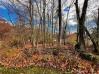 Lot 143 Floral Valley Knox County Home Listings - Mount Vernon Ohio Homes 
