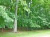 Lot 174 Apple Valley Knox County Home Listings - Mount Vernon Ohio Homes 