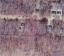 Apple Valley Lake Lot 