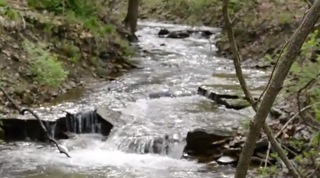 Heart of Ohio Trail Stream