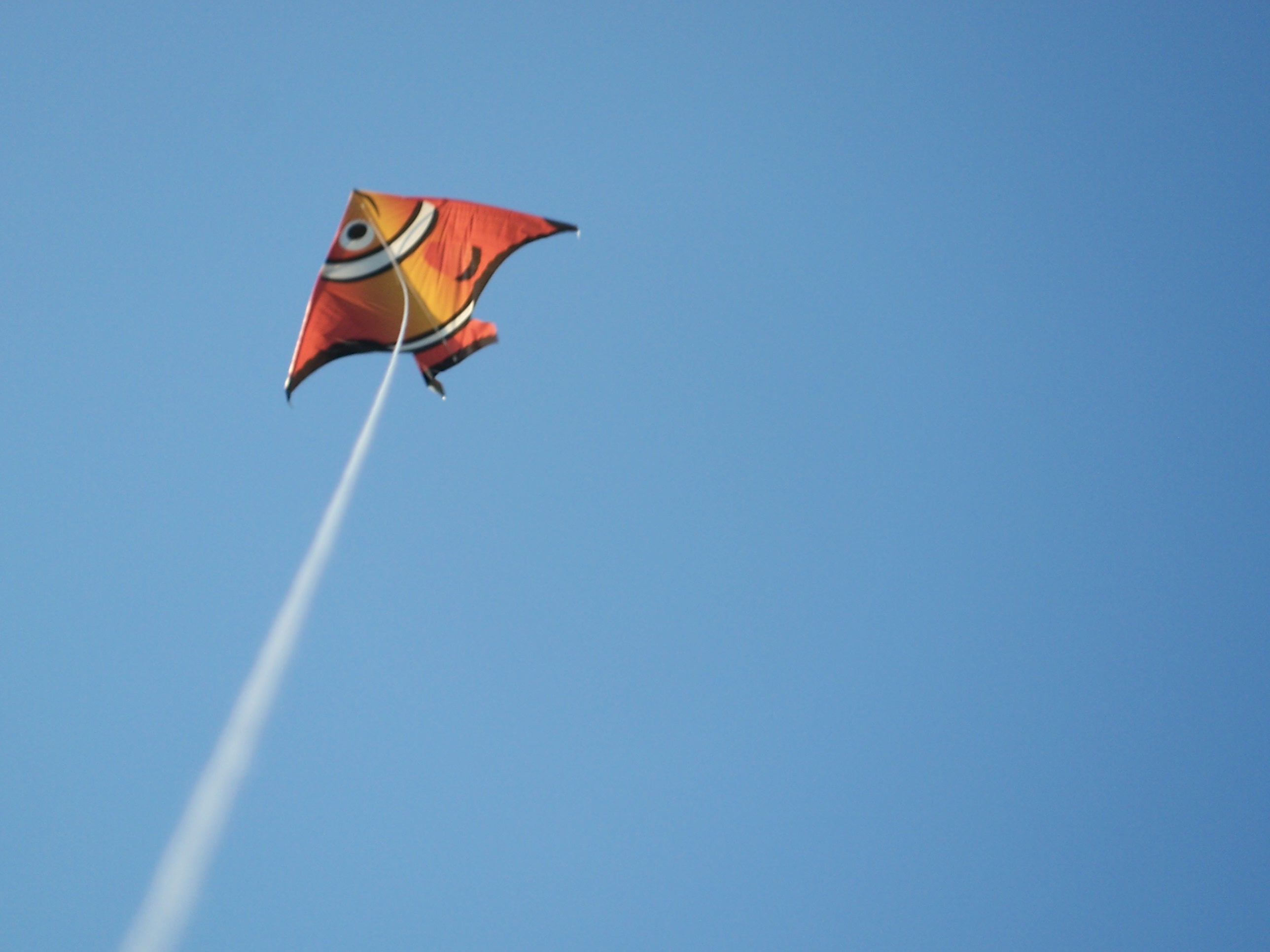 Mount Vernon Ohio Kite Flying in Knox County Ohio photo by Sam Miller