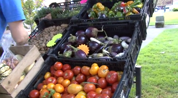 Mount Vernon Ohio Farmers Market Produce