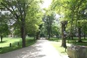 Tree lined walkway on Kenyon College campus